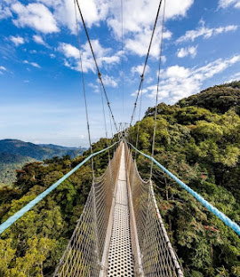 Nyungwe Forest National Park